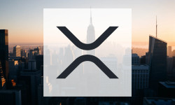 Beitragsbild zu XRP: Institutionen kaufen massiv