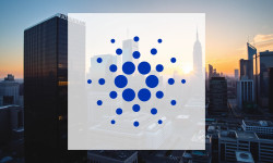 Beitragsbild zu Cardano: Unternehmen im Visier