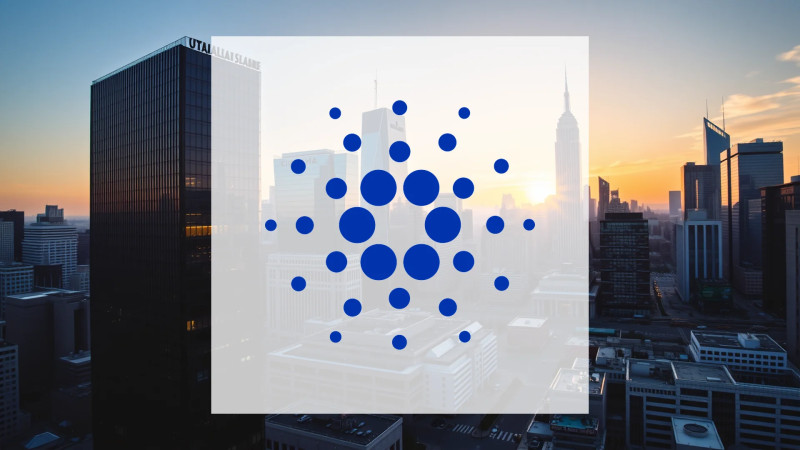 Beitragsbild zu Cardano: Unternehmen im Visier