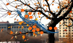 Beitragsbild zu Laramide Aktie: Rückzug aus Kasachstan