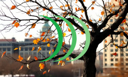 Beitragsbild zu Hensoldt Aktie: Strategische Allianz