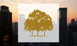 Beitragsbild zu Canopy Growth Aktie: Debakel!