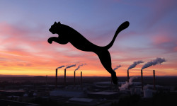 Beitragsbild zu Puma Aktie: Zockerstory mit China-Fantasie