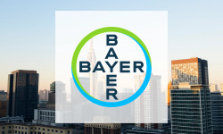 Beitragsbild zu Bayer Aktie: Zwiespalt!