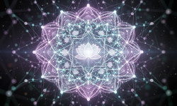 Beitragsbild zu Fivebalance: Krypto trifft Wellness