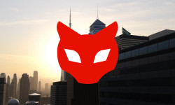 Beitragsbild zu Red Cat Aktie: Zuversicht dominiert!