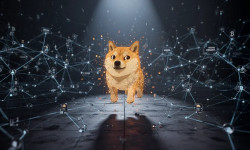 Beitragsbild zu Dogecoin: Fokus auf echten Nutzen