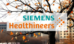 Beitragsbild zu Siemens Healthineers Aktie: Ergebnislose Bemühungen?