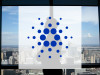 Beitragsbild zu Cardano: Umsatzprognosen korrigiert