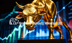 Beitragsbild zu Northern Dynasty Aktie: Jetzt oder nie!