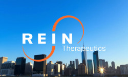 Beitragsbild zu Rein Therapeutics Aktie: Zwischen Hoffnung und Realität