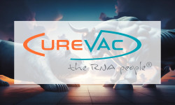 Beitragsbild zu CureVac Aktie: Starkes Jahresende!