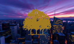 Beitragsbild zu Canopy Growth Aktie: Quartalszahlen im Fokus