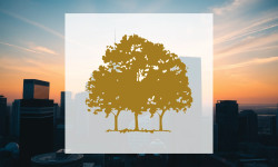 Beitragsbild zu Canopy Growth Aktie: Kampf um Profitabilität