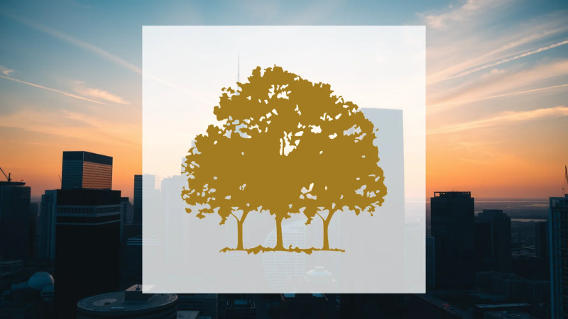 Beitragsbild zu Canopy Growth Aktie: Kampf um Profitabilität