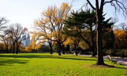 Beitragsbild zu USU Ventures Aktie: Übergangsjahr