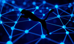 Beitragsbild zu Puma Aktie: Analysetreffen dokumentiert