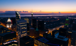 Beitragsbild zu Tesla, IBM & Bitcoin: Wenn Hoffnung auf harte Realität trifft