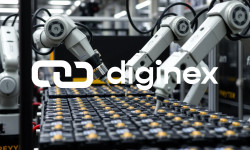 Beitragsbild zu Diginex Aktie: Ein Drahtseilakt?