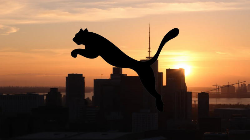 Beitragsbild zu Puma Aktie: Übernahme-Poker stockt