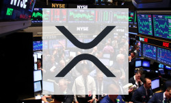 Beitragsbild zu XRP: Institutionelle Flucht?