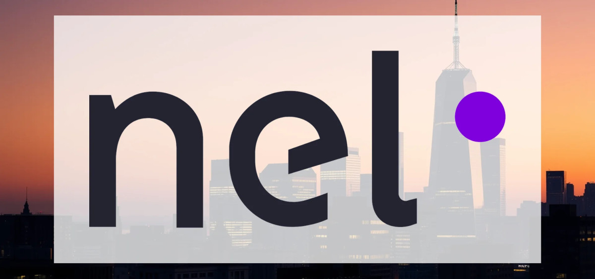 Beitragsbild zu Nel Asa-Aktie: Alles absolut falsch!