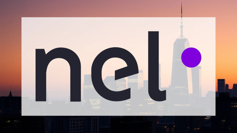 Beitragsbild zu Nel Asa-Aktie: Alles absolut falsch!