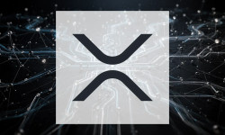 Beitragsbild zu XRP: Beeindruckende Entwicklungsschritte!