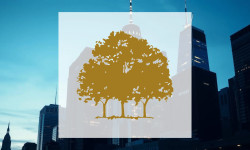 Beitragsbild zu Canopy Growth Aktie: Gremiensitzungen angekündigt