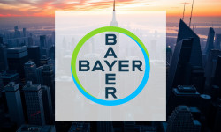 Beitragsbild zu Bayer Aktie: Ruhe vor Zahlen-Schock?