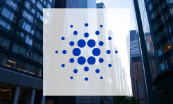 Beitragsbild zu Cardano: Netzwerk-Split schockt Anleger!