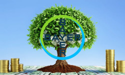 Beitragsbild zu Bayer-Aktie: Kein Wunder!