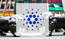 Beitragsbild zu Cardano: Rettung naht?