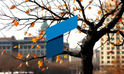 Beitragsbild zu Rheinmetall-Aktie: Nicht mehr zu halten!