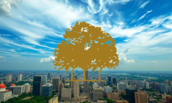 Beitragsbild zu Canopy Growth Aktie: Zeit erkauft, Probleme bleiben