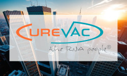 Beitragsbild zu CureVac Aktie: Inspirierende Entwicklungsschritte!
