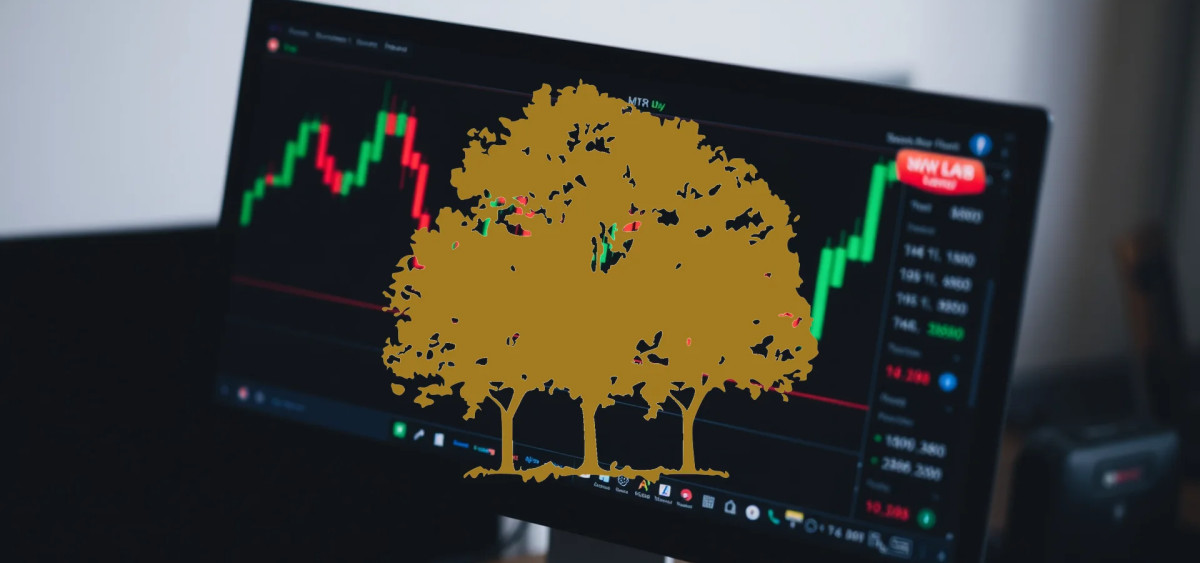Beitragsbild zu Canopy Growth Aktie: Starke Schwankungen