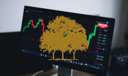 Beitragsbild zu Canopy Growth Aktie: Starke Schwankungen