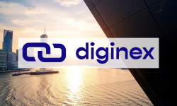 Beitragsbild zu Diginex Aktie: Teure Expansion rächt sich