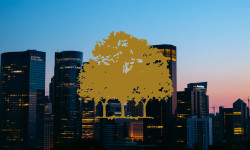 Beitragsbild zu Canopy Growth Aktie: Trendwende eingeleitet