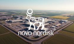 Beitragsbild zu Novo Nordisk Aktie: Katastrophe eskaliert!