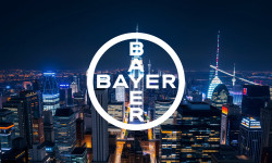Beitragsbild zu Bayer Aktie: 20-Jahres-Tief!