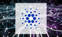 Beitragsbild zu Cardano: Upgrade und CME