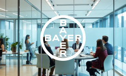 Beitragsbild zu Bayer Aktie: Entscheidungstag naht!