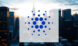 Beitragsbild zu Cardano: Chaos im Netzwerk!