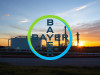 Beitragsbild zu Bayer-Aktie: Der Weg nach oben!