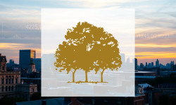 Beitragsbild zu Canopy Growth Aktie: Nervenkitzel vor Zahlen!