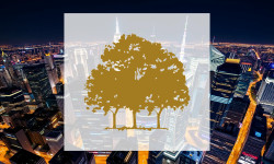 Beitragsbild zu Canopy Growth Aktie: Führungsriege stabilisiert sich