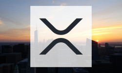 Beitragsbild zu XRP: Knappe Prognosen!
