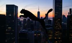 Beitragsbild zu Puma Aktie: 608 Millionen gesichert